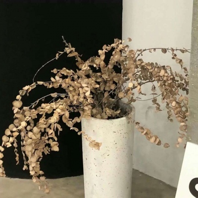 Furry绘画色彩技巧Furry群